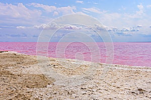View on pink lake with Dunaliella Salina algae. Lemurian lake at south of the Ukraine