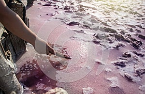 View of the pink Lemur Lake on the Arabat Spit in Ukraine. Unique pond with Dunaliella Salina algae, salt crystals and healing mud