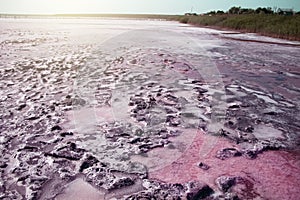View of the pink Lemur Lake on the Arabat Spit in Ukraine. Unique pond with Dunaliella Salina algae, salt crystals and healing mud