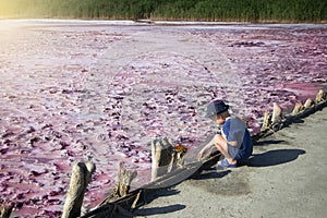 View of the pink Lemur Lake on the Arabat Spit in Ukraine. Unique pond with Dunaliella Salina algae, salt crystals and healing mud photo