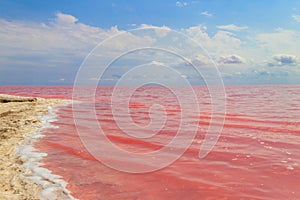 View of pink salty Syvash lake in Kherson region, Ukraine