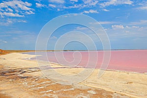 View of pink salty Syvash lake in Kherson region, Ukraine