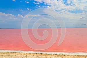 View of pink salty Syvash lake in Kherson region, Ukraine