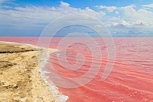 View of pink salty Syvash lake in Kherson region, Ukraine