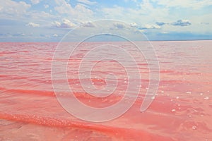 View of pink salty Syvash lake in Kherson region, Ukraine