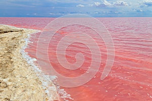 View of pink salty Syvash lake in Kherson region, Ukraine