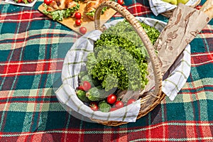 View of a plaid with food and snacks for a picnic in the background of a summer park outdoor