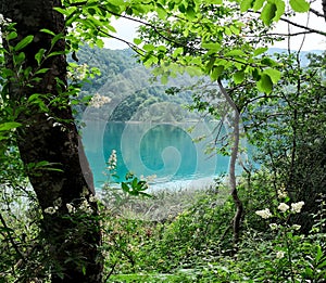 View of Plitvice Lakes Natural Park