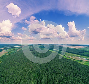 View of plowed and green fields and pine forest in spring