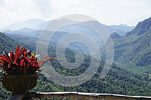 View point in Doi Ang Khang photo