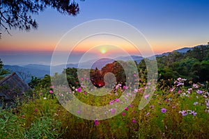 View point from Doi Mae Taman mountain