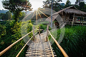 View point at Doi Tung mountain