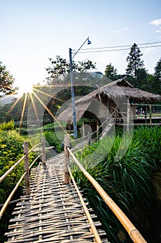 View point at Doi Tung mountain