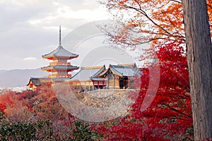 View point of Kiyomizu-dera Temple