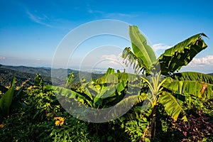 View point of Kwan Phayao lake