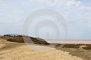 View point over saltlakes Mas des Crottes, Camargue, France