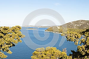 View point through pine trees on an Adriatic sea with islands