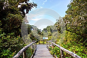 View point in the rainforest, north of Thailand