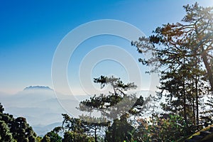 View point of Tree, fog and mountain scen eat Huai Nam Dang National Park,Chingmai