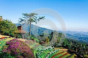 View point of Tree, fog and mountain scen eat Huai Nam Dang National Park,Chingmai