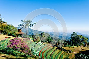 View point of Tree, fog and mountain scen eat Huai Nam Dang National Park,Chingmai