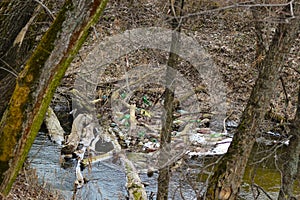 View of the polluted small forest river with a lot of different plastic garbage. Environment pollution problem