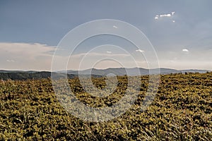 View from Polonina Wetlinska in the Bieszczady Mountains in Poland