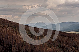 View from Polonina Wetlinska in the Bieszczady Mountains in Poland