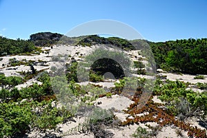 View of Poltu Biancu dunes photo