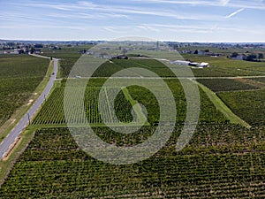 View on Pomerol village, production of red Bordeaux wine, Merlot or Cabernet Sauvignon red wine grapes on cru class vineyards in