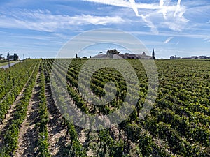 View on Pomerol village, production of red Bordeaux wine, Merlot or Cabernet Sauvignon red wine grapes on cru class vineyards in