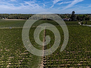 View on Pomerol village, production of red Bordeaux wine, Merlot or Cabernet Sauvignon red wine grapes on cru class vineyards in