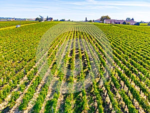 View on Pomerol village, production of red Bordeaux wine, Merlot or Cabernet Sauvignon red wine grapes on cru class vineyards in