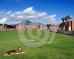 View of the Pompei ruins and Vesuvius volcano. photo