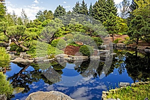 View of the pond of the Botanical garden