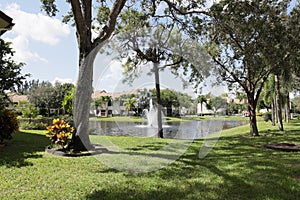 View of a pond in Florida