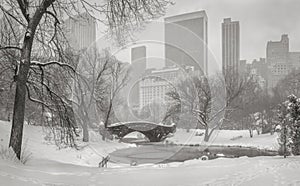 View of the Pond, Gapstow Bridge and Manhattan skyscrapers during a snowstorm.