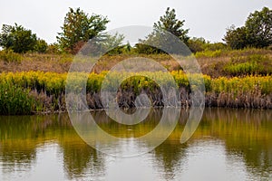 View of a pond with grass and water reflection