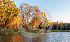 The view of pond in Lugovoy Meadow Park in Peterhof