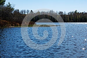 View of a pond in Maine in the early morning light