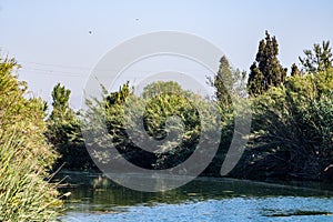 View of the pond