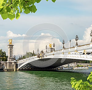View of Pont Alexandre III in Paris