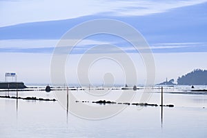 View of the Pontevedra estuary (Spain).