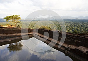 View from pool at Sigiriya Rock, Sri Lanka