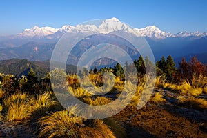 View from Poon Hill 3210m