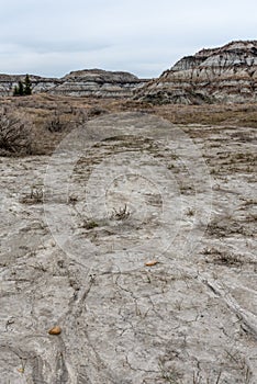 Horseshoe Canyon, Alberta photo