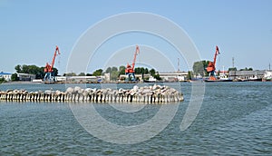 View of portal cranes of seaport. Kaliningrad region