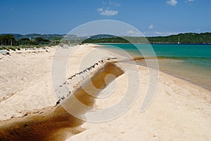 View of Porto Liscia beach photo