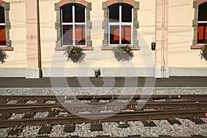 View of Poschiavo train station