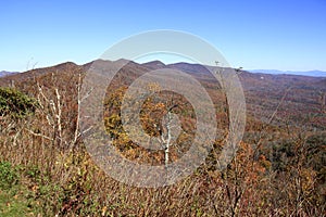 View from Pounding Mill Overlook in North Carolina